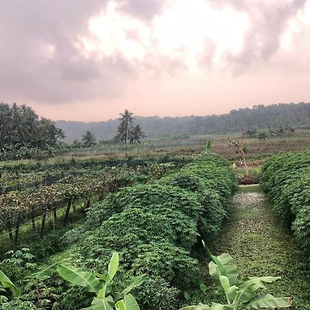 Villa Anandha Thiruvananthapuram Buitenkant foto