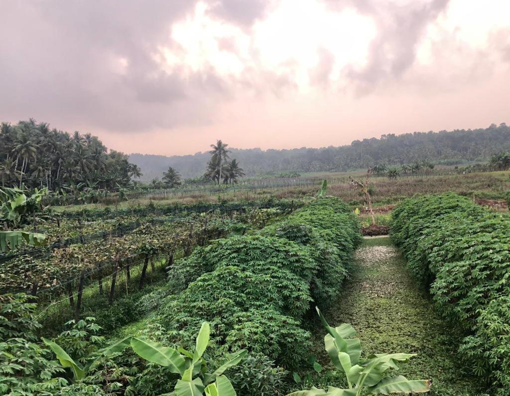Villa Anandha Thiruvananthapuram Buitenkant foto