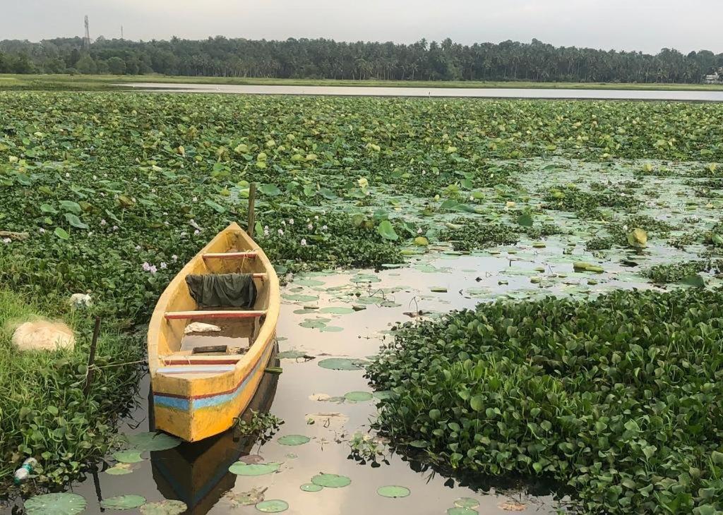 Villa Anandha Thiruvananthapuram Buitenkant foto
